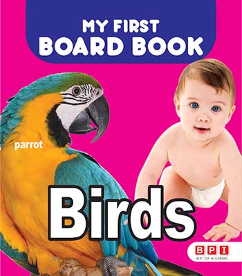 Birds – First Board Book
