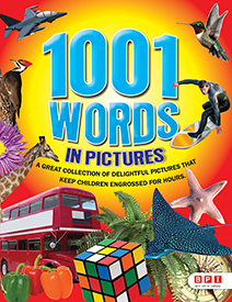 1001 Words in Pictures